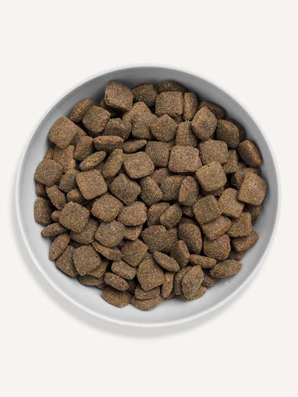 Canagan Grass-Fed Lamb for dogs - all breeds-02