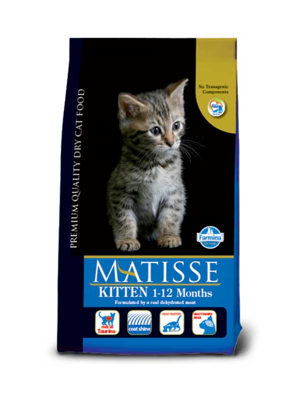 Matisse kitten 1-12 months-01