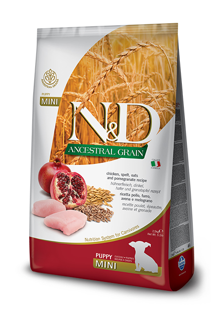 N&D Ancestral Grain canine - Chicken & Pomegranate Puppy Mini-01