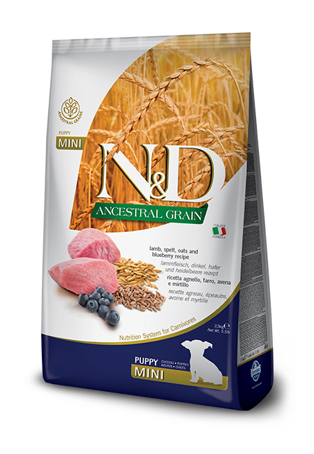 N&D Ancestral Grain canine - Lamb & Blueberry Puppy Mini-01