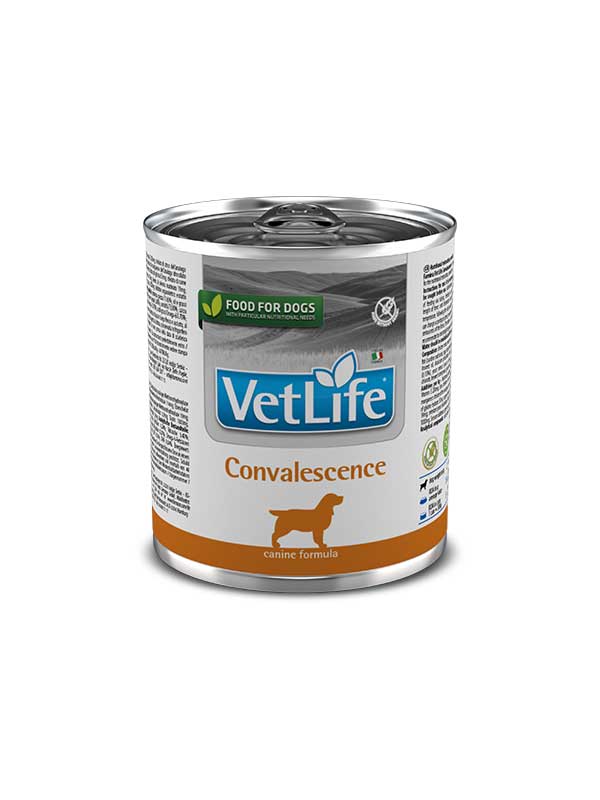 Farmina Vet life canine - Convalescence wet food-01