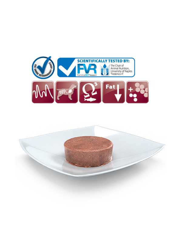 Farmina Vet life canine - Gastrointestinal wet food-02