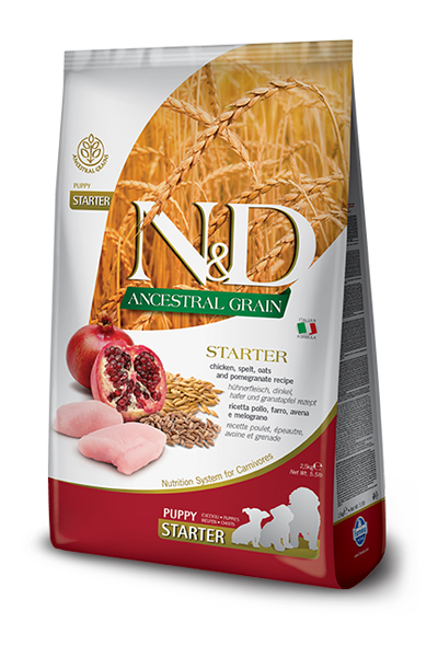 N&D Ancestral Grain canine - Chicken & Pomegranate Starter Puppy-01
